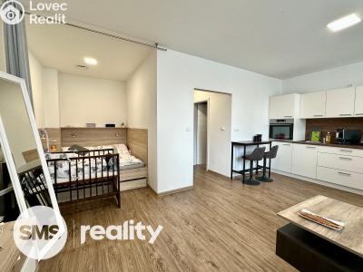 Аренда квартиры 1+KK Opava, Provaznická č. 4