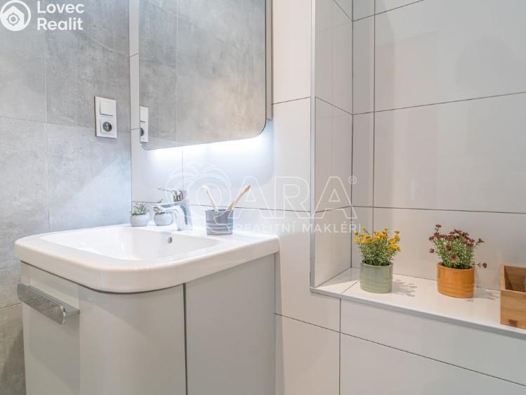 Pronájem bytu 2+1 Kladno, Dlouhá 2631 č. 10