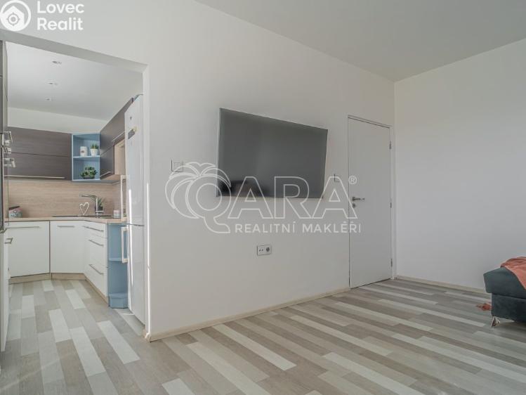 Pronájem bytu 2+1 Kladno, Dlouhá 2631 č. 13