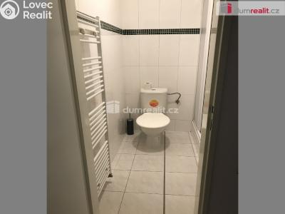 Rent apartment 1+1 Praha-Ďáblice, U Parkánu č. 4