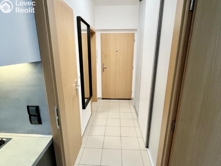 Pronájem bytu 1+KK Karlovy Vary, Kryzánkova č. 7