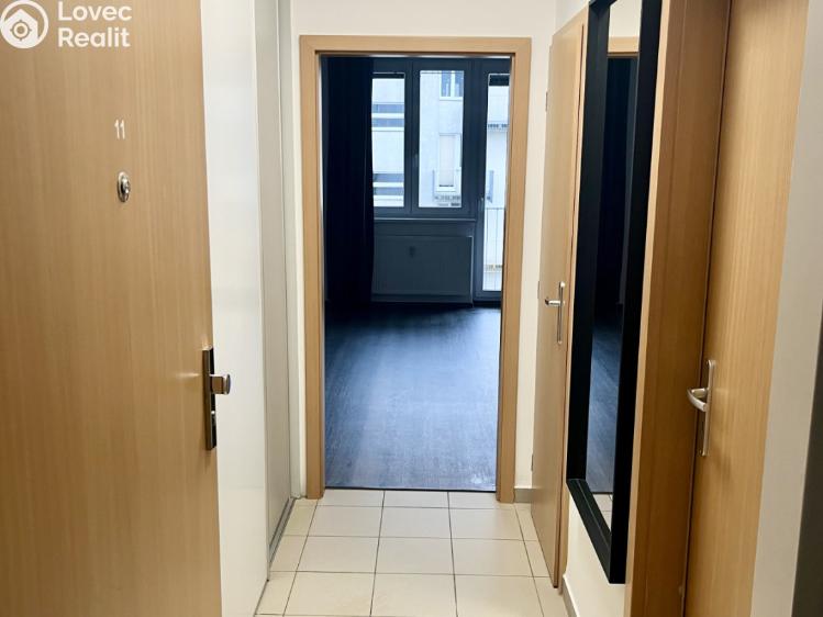 Pronájem bytu 1+KK Karlovy Vary, Kryzánkova č. 13