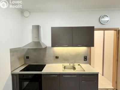 Rent apartment 1+KK Karlovy Vary, Kryzánkova č. 1