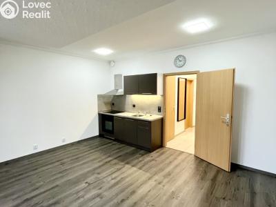 Rent apartment 1+KK Karlovy Vary, Kryzánkova č. 4