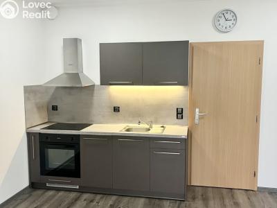 Rent apartment 1+KK Karlovy Vary, Kryzánkova č. 6