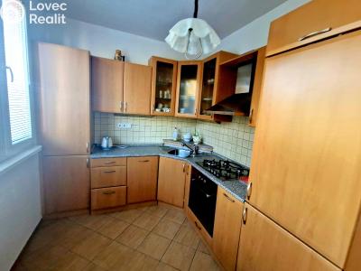 Prodej bytu 2+1 Frýdek-Místek, Bezručova č. 1