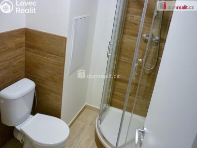 Rent apartment 1+KK Břeclav, J. Palacha č. 2