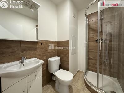 Pronájem bytu 1+KK Břeclav, J. Palacha č. 2