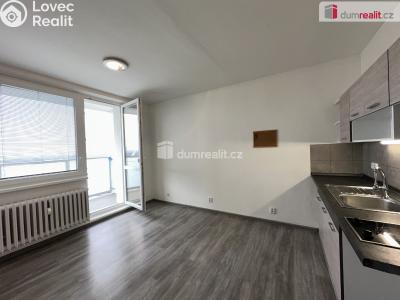 Pronájem bytu 1+KK Břeclav, J. Palacha č. 4
