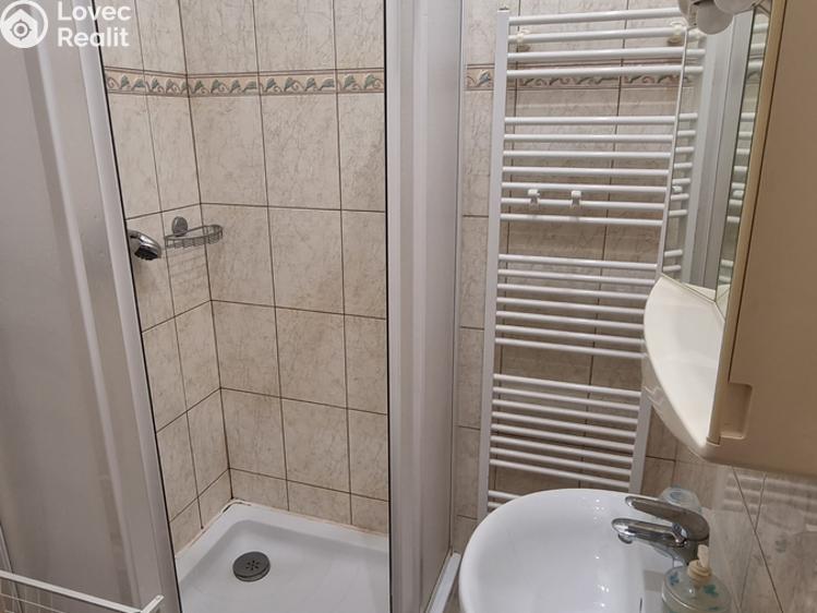 Pronájem bytu 1+KK Praha, Jagellonská 1239/24 č. 13