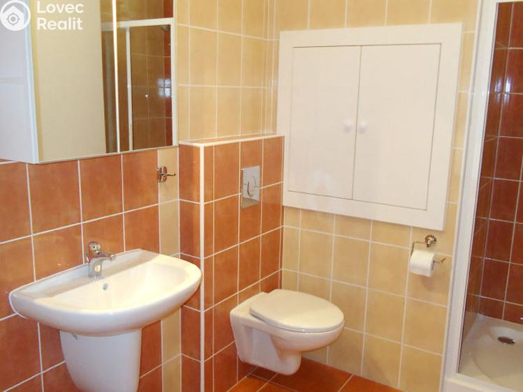 Prodej bytu 1+KK Plzeň, Goldscheiderova 2950/7 č. 6