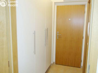 Prodej bytu 1+KK Plzeň, Goldscheiderova č. 4