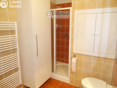 Prodej bytu 1+KK Plzeň, Goldscheiderova č. 5