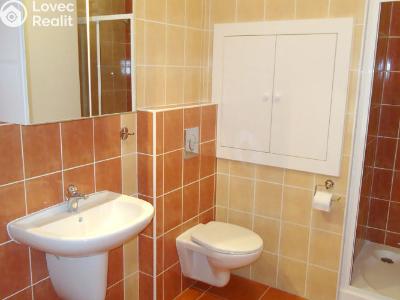 Prodej bytu 1+KK Plzeň, Goldscheiderova č. 6