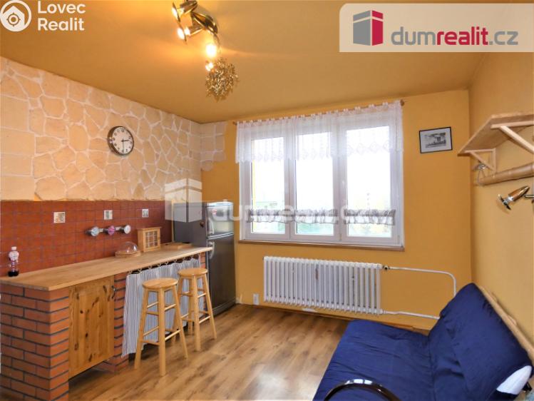 Pronájem bytu 1+1 Sokolov, Švabinského č. 3