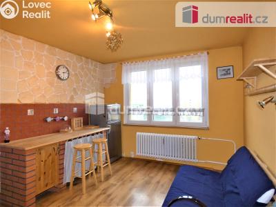 Rent apartment 1+1 Sokolov, Švabinského č. 3