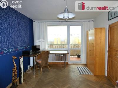Rent apartment 1+1 Sokolov, Švabinského č. 4