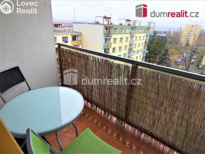 Rent apartment 1+1 Sokolov, Švabinského č. 6