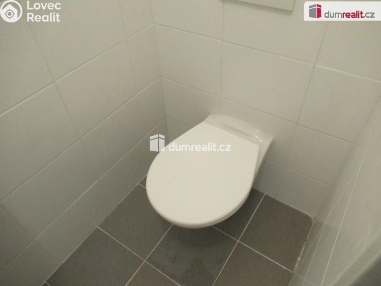 Pronájem bytu 1+1 Praha 5, Holečkova č. 6