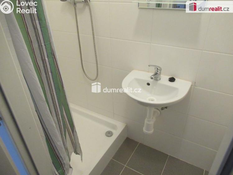 Pronájem bytu 1+1 Praha 5, Holečkova č. 7