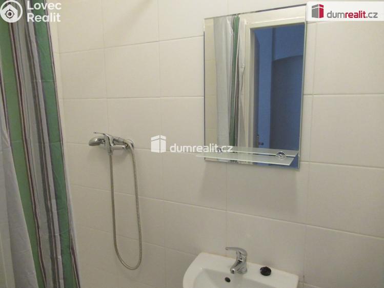 Pronájem bytu 1+1 Praha 5, Holečkova č. 8