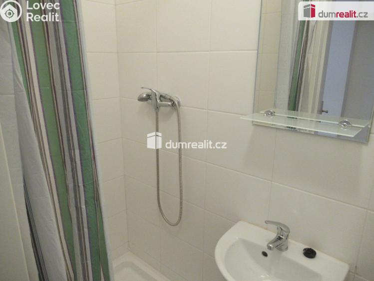 Pronájem bytu 1+1 Praha 5, Holečkova č. 9