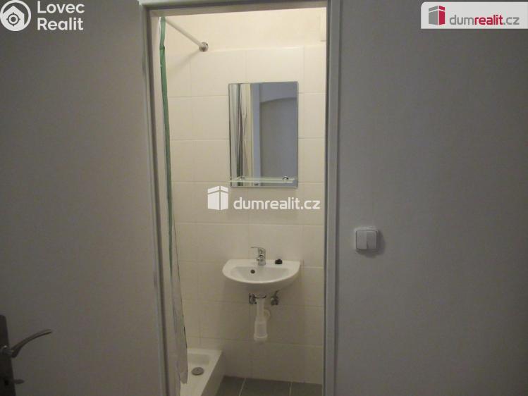 Pronájem bytu 1+1 Praha 5, Holečkova č. 10