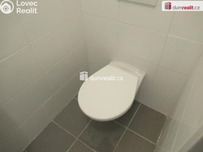 Rent apartment 1+1 Praha 5, Holečkova č. 6