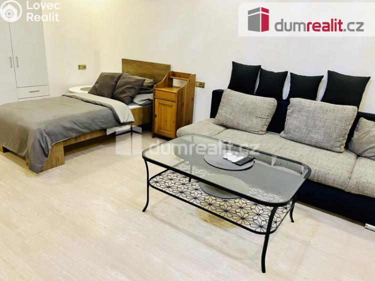 Pronájem bytu 1+1 Mariánské Lázně, Lužická č. 8