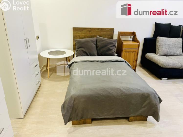 Pronájem bytu 1+1 Mariánské Lázně, Lužická č. 10