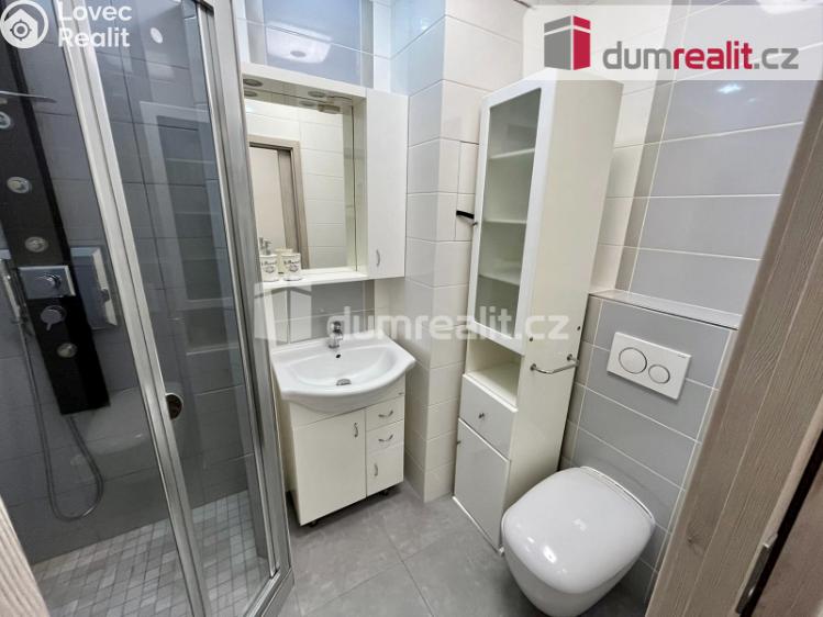 Pronájem bytu 1+1 Mariánské Lázně, Lužická č. 14