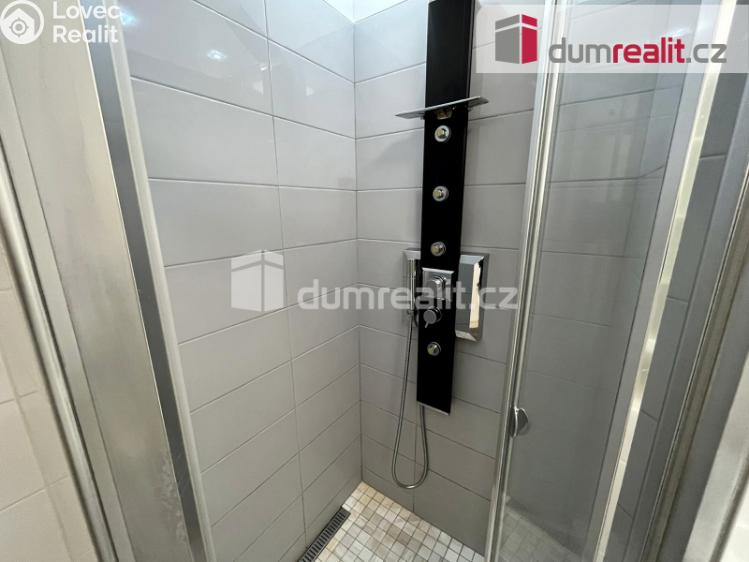 Pronájem bytu 1+1 Mariánské Lázně, Lužická č. 15