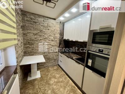 Rent apartment 1+1 Mariánské Lázně, Lužická č. 1