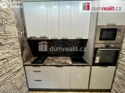 Rent apartment 1+1 Mariánské Lázně, Lužická č. 4