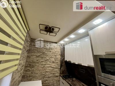 Rent apartment 1+1 Mariánské Lázně, Lužická č. 6