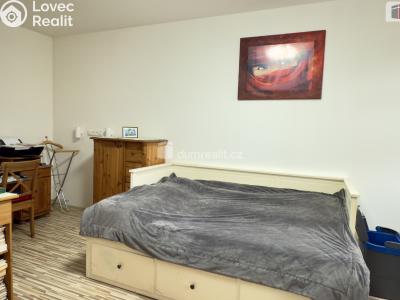 Prodej bytu 1+1 Karlovy Vary, Nákladní č. 6