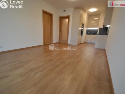 Rent apartment 2+KK Praha-Zličín, K metru č. 1