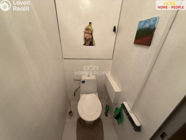 Pronájem bytu 3+KK Příbram, Šachetní č. 47