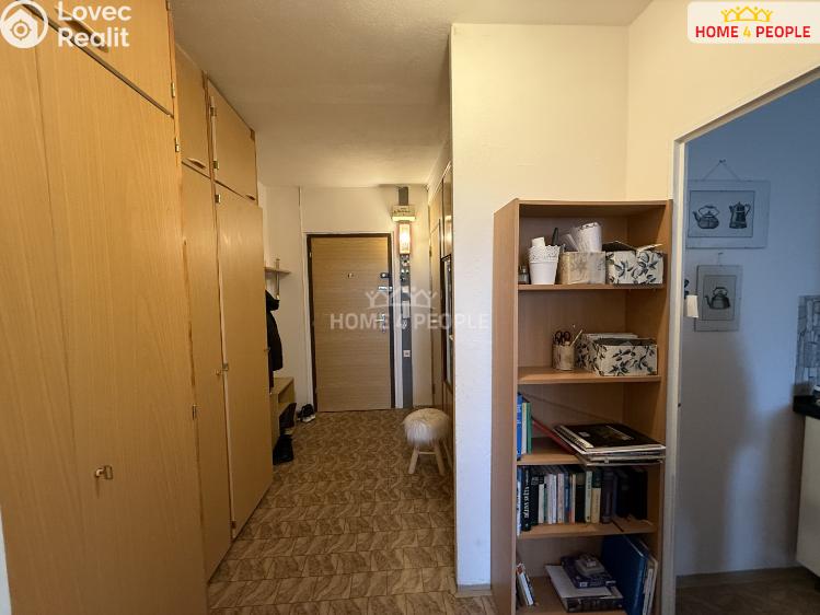 Pronájem bytu 3+KK Příbram, Šachetní č. 51