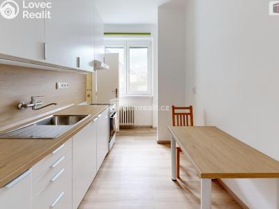 Rent apartment 2+1 Opava, Otická č. 4