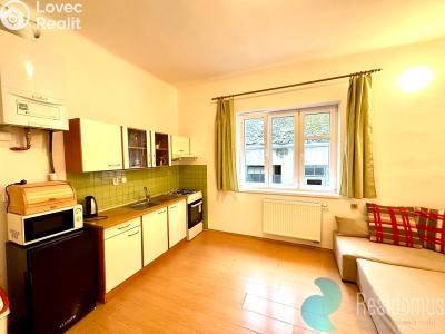 Rent apartment 2+KK České Budějovice, Havlíčkova č. 1