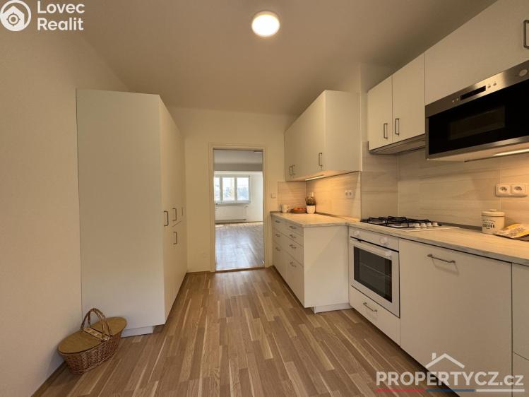 Pronájem rodinného domu Praha, Křížová 2479 č. 3