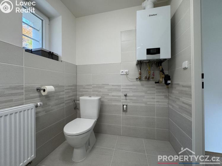 Pronájem rodinného domu Praha, Křížová 2479 č. 30