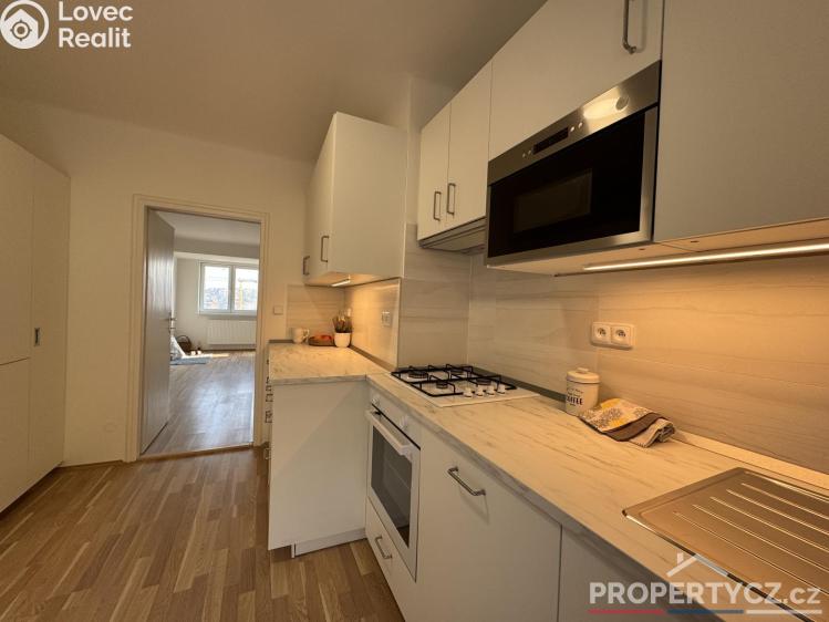 Оренда сімейного будинку Praha, Křížová 2479 č. 19