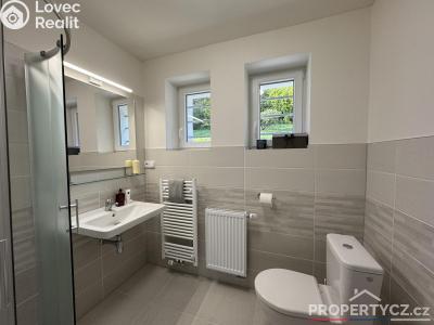 Pronájem rodinného domu Praha, Křížová 2479 č. 3