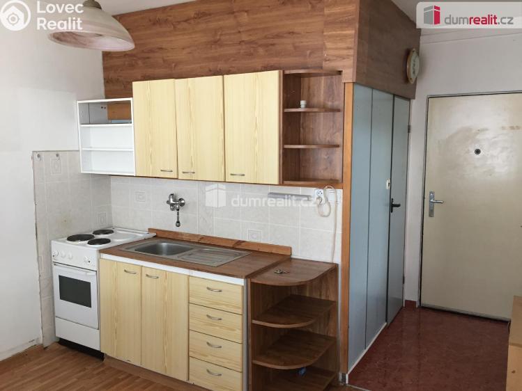 Pronájem bytu 1+1 Děčín, Plavební č. 1