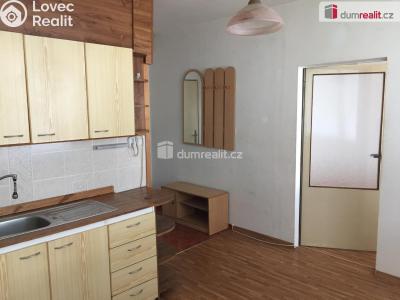Rent apartment 1+1 Děčín, Plavební č. 3