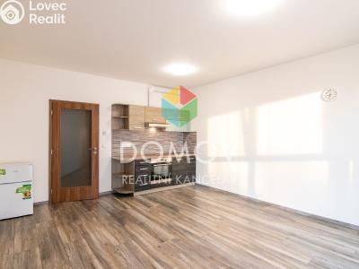 Rent apartment 1+KK Beroun, U Archivu č. 1