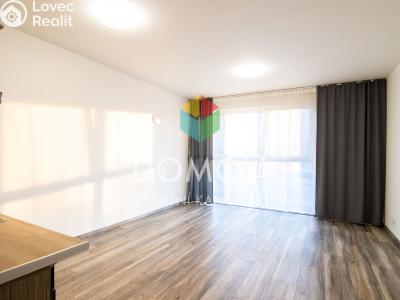 Rent apartment 1+KK Beroun, U Archivu č. 2