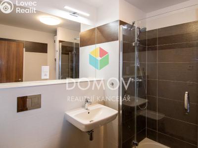 Rent apartment 1+KK Beroun, U Archivu č. 3